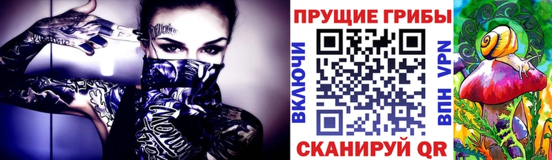 Псилоцибиновые грибы GOLDEN TEACHER  Томмот 